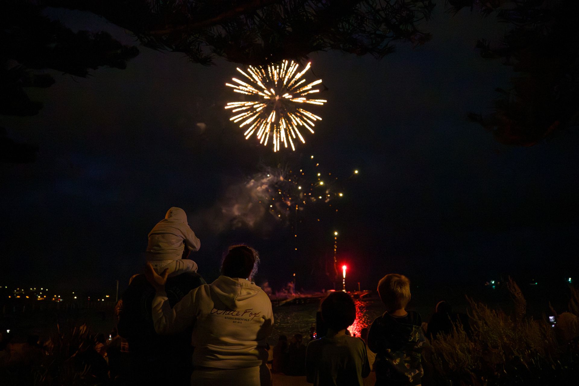 Picture: Fireworks at Tunarama